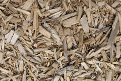 biomass boilers Harlech
